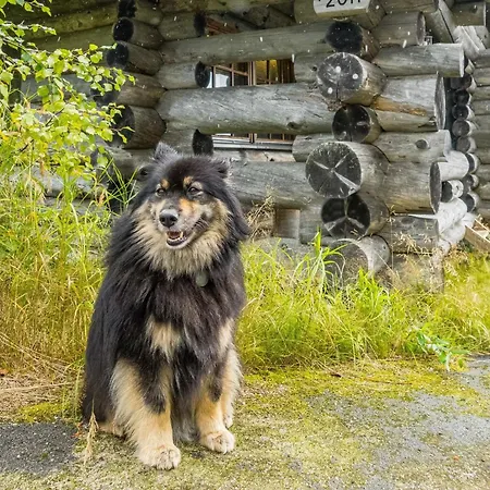 Vilkkuna 20 A By Interhome *