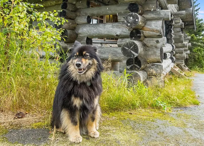 Vilkkuna 20 A By Interhome *