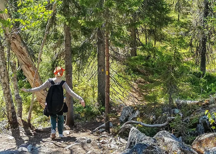 Vilkkuna 20 A By Interhome * Сиоте